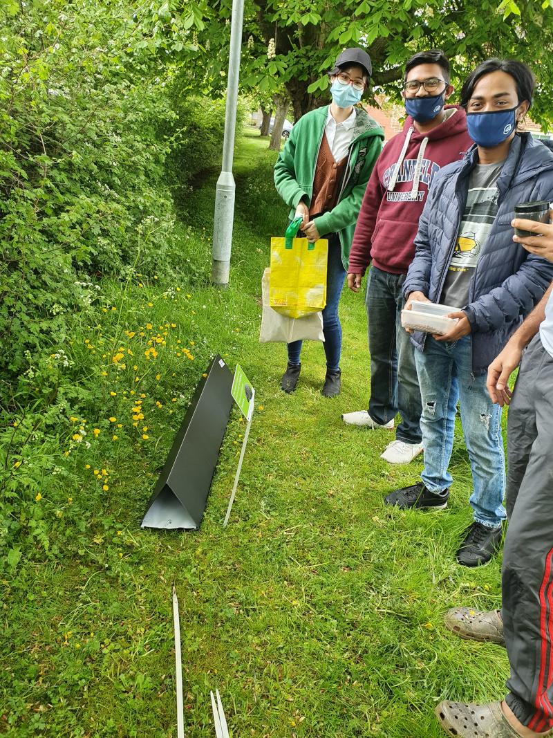 Student hedgehog survey